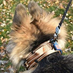 Mia's Pet Supply Dog Collar With Control Handle