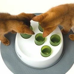 Mia's Pet Supply : Catit Senses 2.0 Digger For Cats: Pet Supplies