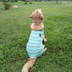 Cheapest π Mia's Pet Supply Camisetas Para Cachorro Con Tiras Anchas Para Perro, Ropa Para Mascotas, π― 17 Mia's Pet Supply Camisetas Para Cachorro Con Tiras Anchas Para Perro, Ropa Para Mascotas,