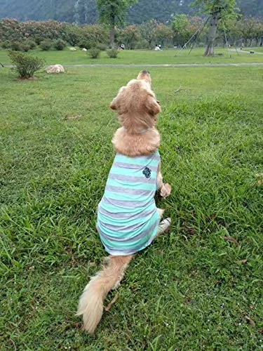 Cheapest π Mia's Pet Supply Camisetas Para Cachorro Con Tiras Anchas Para Perro, Ropa Para Mascotas, π― 5 Mia's Pet Supply Camisetas Para Cachorro Con Tiras Anchas Para Perro, Ropa Para Mascotas,