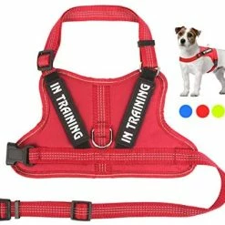 Best deal 🎉 Mia's Pet Supply Leashes And Harness NOYAL In Training 🐶 Dog Harness, Soft Breathable Mesh 🐶 Dog Vest Harness 🛒 23 Mia's Pet Supply Leashes And Harness NOYAL In Training Dog Harness, Soft Breathable Mesh Dog Vest Harness