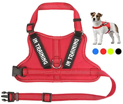 Best deal 🎉 Mia's Pet Supply Leashes And Harness NOYAL In Training 🐶 Dog Harness, Soft Breathable Mesh 🐶 Dog Vest Harness 🛒 12 Mia's Pet Supply Leashes And Harness NOYAL In Training Dog Harness, Soft Breathable Mesh Dog Vest Harness
