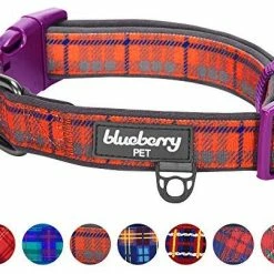 Mia's Pet Supply Blueberry Style Designer Padded Adjustable Dog Collar