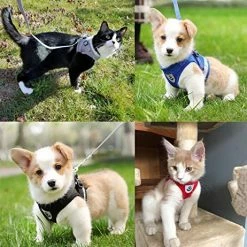 Top 10 ๐ Mia's Pet Supply Leashes And Harness Kamots Beauty Escape Proof ๐ถ Dog Cat Harness And Leash โจ 10 Mia's Pet Supply Leashes And Harness Kamots Beauty Escape Proof Dog Cat Harness And Leash