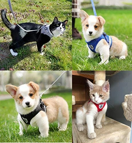 Top 10 ๐ Mia's Pet Supply Leashes And Harness Kamots Beauty Escape Proof ๐ถ Dog Cat Harness And Leash โจ 5 Mia's Pet Supply Leashes And Harness Kamots Beauty Escape Proof Dog Cat Harness And Leash