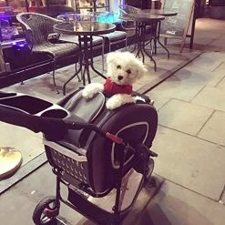 Hot Sale ๐ Mia's Pet Supply Travel : Ibiyaya 5 In 1 Pet Carrier + ๐ Backpack + Car Seat + Pet Carrier Stroller + Carriers With Wheels For ๐ฆฎ Dogs And Cats All In ONE (Brown) : Pet Supplies ๐ 20 Mia's Pet Supply Travel : Ibiyaya 5 In 1 Pet Carrier + Backpack + Car Seat + Pet Carrier Stroller + Carriers With Wheels For Dogs And Cats All In ONE (Brown) : Pet Supplies