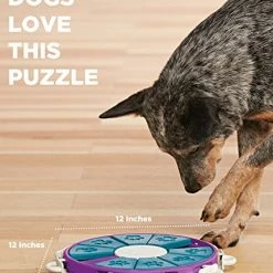Mia's Pet Supply : Nina Ottosson Dog Twister Advanced Dog Puzzle Toy - Dog Toys