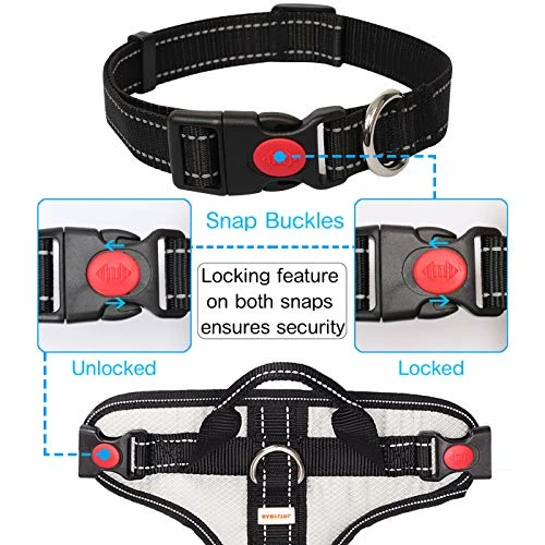 Top 10 😉 Mia's Pet Supply : Babyltrl Silver Big 🦮 Dog Harness No-Pull Anti-Tear Adjustable Leashes And Harness 🎉 6 Mia's Pet Supply : Babyltrl Silver Big Dog Harness No-Pull Anti-Tear Adjustable Leashes And Harness