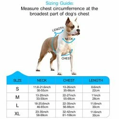 Buy β Mia's Pet Supply : Babyltrl Big πΆ Dog Harness No-Pull Adjustable Leashes And Harness π 13 Mia's Pet Supply : Babyltrl Big Dog Harness No-Pull Adjustable Leashes And Harness