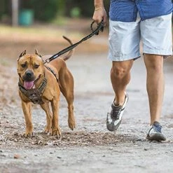 Mia's Pet Supply FIVEWOODY Tactical Dog Training Harness No Pulling Front Clip Leashes And Harness