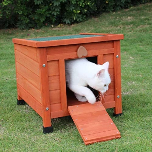 Cheapest ๐ Mia's Pet Supply ROCKEVER Feral Cat House Outdoor Insulated, Wooden Cat Shelter ๐ 9 Mia's Pet Supply ROCKEVER Feral Cat House Outdoor Insulated, Wooden Cat Shelter