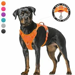 Mia's Pet Supply BARKBAY No Pull Dog Harness Large Step In Reflective Dog Harness Leashes And Harness