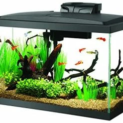Mia's Pet Supply Aqueon 100527256 Fish Tank Aquarium LED Kit