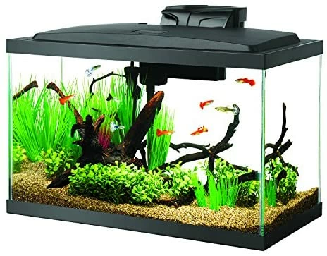 Flash Sale π₯ Mia's Pet Supply Aqueon 100527256 Fish Tank Aquarium LED Kit π 1 Mia's Pet Supply Aqueon 100527256 Fish Tank Aquarium LED Kit