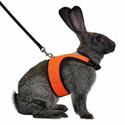 Discount โ Mia's Pet Supply Rabbit Houses & Accessories : Niteangel Adjustable Soft Harness With Elastic Leash For Rabbits (L, Orange) : ๐งจ 1 Mia's Pet Supply Rabbit Houses & Accessories : Niteangel Adjustable Soft Harness With Elastic Leash For Rabbits (L, Orange) :