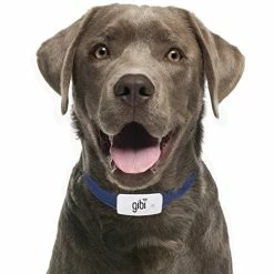 Mia's Pet Supply Leashes And Harness : GIBI 2nd Gen Pet GPS Tracker