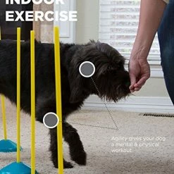 Mia's Pet Supply Outward Hound ZipZoom Indoor Dog Agility Training For Dogs : Outward Hound