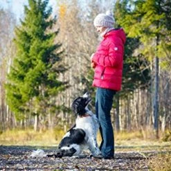 New 🔥 Mia's Pet Supply 🐕 Dog Toys : PlayfulSpirit Durable Natural Rubber Ball On A Rope 🔔 14 Mia's Pet Supply Dog Toys : PlayfulSpirit Durable Natural Rubber Ball On A Rope