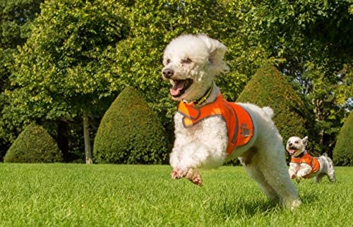 Cheapest 🔥 Mia's Pet Supply 4LegsFriend 🐕 Dog Safety Reflective Vest 🥰 6 Mia's Pet Supply 4LegsFriend Dog Safety Reflective Vest