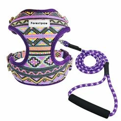 Mia's Pet Supply Multi-Colored Stylish Dog Walking Vest Harness And Leash Set- Leashes And Harness