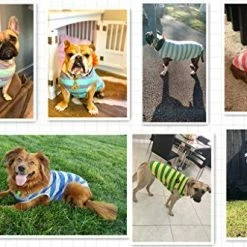 Cheapest π Mia's Pet Supply Camisetas Para Cachorro Con Tiras Anchas Para Perro, Ropa Para Mascotas, π― 18 Mia's Pet Supply Camisetas Para Cachorro Con Tiras Anchas Para Perro, Ropa Para Mascotas,