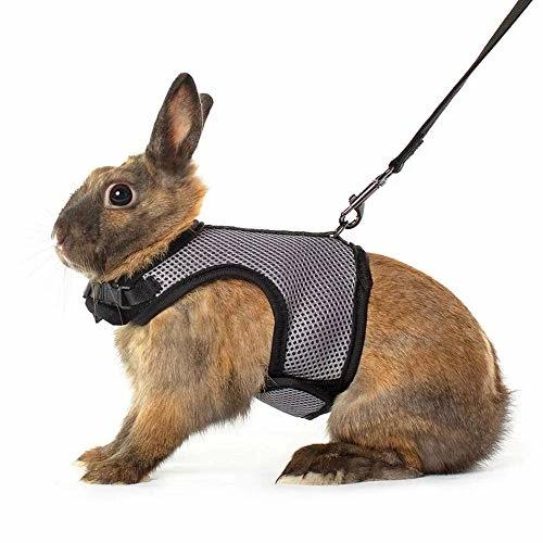 Discount โ Mia's Pet Supply Rabbit Houses & Accessories : Niteangel Adjustable Soft Harness With Elastic Leash For Rabbits (L, Orange) : ๐งจ 11 Mia's Pet Supply Rabbit Houses & Accessories : Niteangel Adjustable Soft Harness With Elastic Leash For Rabbits (L, Orange) :