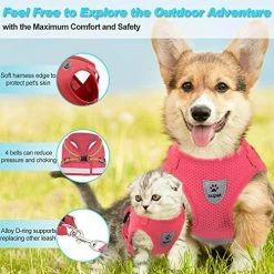 Mia's Pet Supply Cat Harness And Leash Set For Walking Cat And Small Dog Harness
