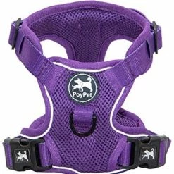 New 🌟 Mia's Pet Supply Leashes And Harness PoyPet Reflective Soft Breathable Mesh 🐶 Dog Harness 🤩 21 Mia's Pet Supply Leashes And Harness PoyPet Reflective Soft Breathable Mesh Dog Harness
