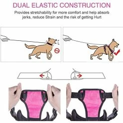 New 😉 Mia's Pet Supply PoyPet No Pull 🦮 Dog Harness, No Choke Front Lead 🦮 Dog Reflective Harness Leashes And Harness 🔔 23 Mia's Pet Supply PoyPet No Pull Dog Harness, No Choke Front Lead Dog Reflective Harness Leashes And Harness