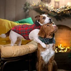 Best Sale 😉 Mia's Pet Supply Apparel KAMA BRIDAL Plaid 🐶 Dog Fleece Vest, Reversible Warm 🐶 Dog Clothes, 🥰 23 Mia's Pet Supply Apparel KAMA BRIDAL Plaid Dog Fleece Vest, Reversible Warm Dog Clothes,