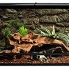 Mia's Pet Supply REPTI ZOO Reptile Glass Terrarium Tank Double Hinge Door With Screen Ventilation Houses, Pens & Crates
