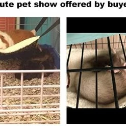 Brand new 👏 Mia's Pet Supply Rabbit Houses & Accessories EONMIR 2Pack Guinea Pig Hammock, Small Animal Hanging Bed Toys 👏 12 Mia's Pet Supply Rabbit Houses & Accessories EONMIR 2Pack Guinea Pig Hammock, Small Animal Hanging Bed Toys