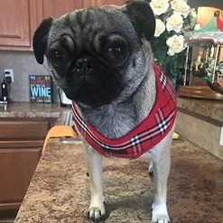 Mia's Pet Supply Leashes And Harness Ringloose No Pull Dog Vest Harness