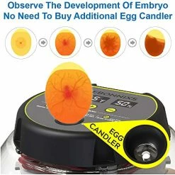 Mia's Pet Supply Chicken Coop Cages KEBONNIXS 12 Egg Incubator, Egg Candler