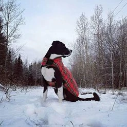 Best Sale 😉 Mia's Pet Supply Apparel KAMA BRIDAL Plaid 🐶 Dog Fleece Vest, Reversible Warm 🐶 Dog Clothes, 🥰 26 Mia's Pet Supply Apparel KAMA BRIDAL Plaid Dog Fleece Vest, Reversible Warm Dog Clothes,