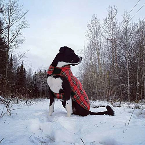 Best Sale 😉 Mia's Pet Supply Apparel KAMA BRIDAL Plaid 🐶 Dog Fleece Vest, Reversible Warm 🐶 Dog Clothes, 🥰 7 Mia's Pet Supply Apparel KAMA BRIDAL Plaid Dog Fleece Vest, Reversible Warm Dog Clothes,