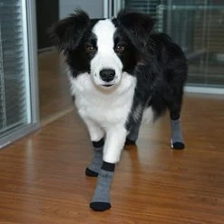Mia's Pet Supply EXPAWLORER Dog Socks Traction Control Anti-Slip