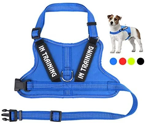 Best deal 🎉 Mia's Pet Supply Leashes And Harness NOYAL In Training 🐶 Dog Harness, Soft Breathable Mesh 🐶 Dog Vest Harness 🛒 10 Mia's Pet Supply Leashes And Harness NOYAL In Training Dog Harness, Soft Breathable Mesh Dog Vest Harness