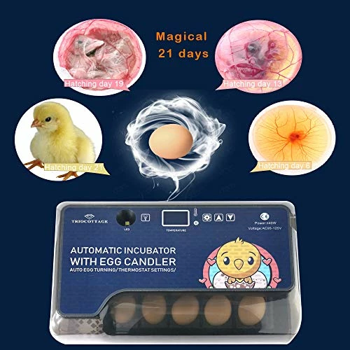 Promo 🎁 Mia's Pet Supply Egg Incubators With Automatic Egg Turning Turner For Hatching Turkey Goose Quail 🎁 7 Mia's Pet Supply Egg Incubators With Automatic Egg Turning Turner For Hatching Turkey Goose Quail