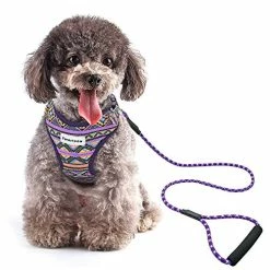 Mia's Pet Supply Multi-Colored Stylish Dog Walking Vest Harness And Leash Set- Leashes And Harness