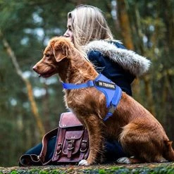 Best deal 🎉 Mia's Pet Supply Leashes And Harness NOYAL In Training 🐶 Dog Harness, Soft Breathable Mesh 🐶 Dog Vest Harness 🛒 17 Mia's Pet Supply Leashes And Harness NOYAL In Training Dog Harness, Soft Breathable Mesh Dog Vest Harness