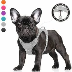 Mia's Pet Supply BARKBAY No Pull Dog Harness Large Step In Reflective Dog Harness Leashes And Harness