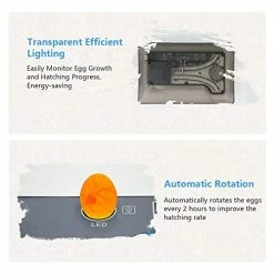 Mia's Pet Supply Mini Egg Incubator 12-35 Eggs Digital Full Automatic Poultry Hatcher Machine