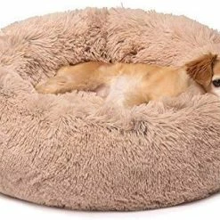 Mia's Pet Supply : Friends Forever Luxury Marshmallow Cat Bed,
