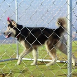 Buy 👏 Mia's Pet Supply Houses, Pens & Crates Large Pet Kennel Shade Cage 🌟 14 Mia's Pet Supply Houses, Pens & Crates Large Pet Kennel Shade Cage