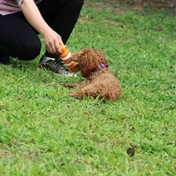 Best Sale ๐ Mia's Pet Supply ๐ Dog Treat Bone Nontoxic Dental Chew Bone ๐งจ 17 Mia's Pet Supply Dog Treat Bone Nontoxic Dental Chew Bone