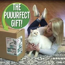 Mia's Pet Supply Kitty City Claw Mega Kit Cat Furniture, Cat Feeding Collection