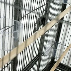 Best Sale ๐ Mia's Pet Supply Aviary & Perches Nova Microdermabrasion 53 Inches Large Bird Cage ๐ 12 Mia's Pet Supply Aviary & Perches Nova Microdermabrasion 53 Inches Large Bird Cage