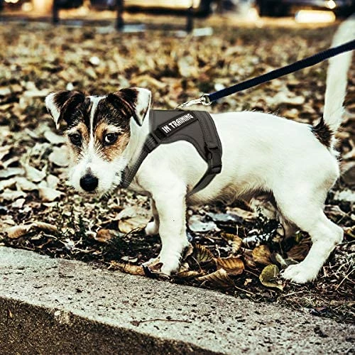 Best deal 🎉 Mia's Pet Supply Leashes And Harness NOYAL In Training 🐶 Dog Harness, Soft Breathable Mesh 🐶 Dog Vest Harness 🛒 4 Mia's Pet Supply Leashes And Harness NOYAL In Training Dog Harness, Soft Breathable Mesh Dog Vest Harness