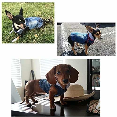 Wholesale π Mia's Pet Supply Cool Blue Denim π§₯ Coat Small Medium π Dogs Apparel π₯ 4 Mia's Pet Supply Cool Blue Denim Coat Small Medium Dogs Apparel